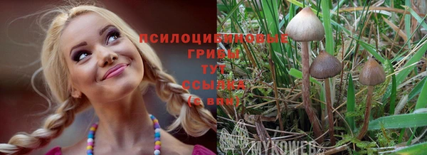 герыч Абаза